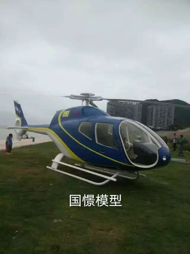 迪庆飞机模型